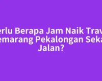 Perlu Berapa Jam Naik Travel Semarang Pekalongan Sekali Jalan?