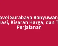 Travel Surabaya Banyuwangi: Durasi, Kisaran Harga, dan Tips Perjalanan
